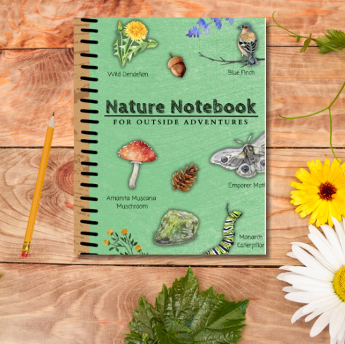 A Nature Notebook For Outside Adventures